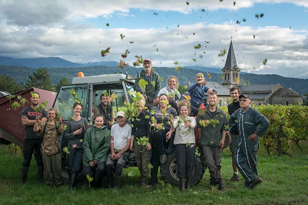 Image for Le domaine de l’Idylle célèbre la fin des vendanges