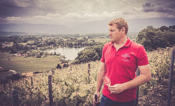 Image for Le guide Hachette consacre Alexandre Perrier « Vigneron de l’année »