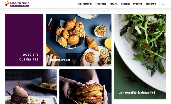 Image for Vandemoortele Professional lance son site web