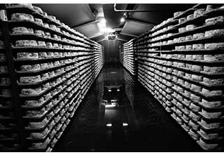 Image for La Maison d’Affinage Gédéon Fromages élargit son offre