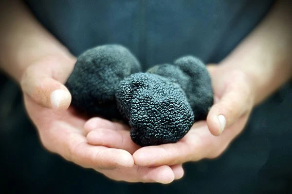 Image for Le Diamant Du Terroir s’installe en montagne
