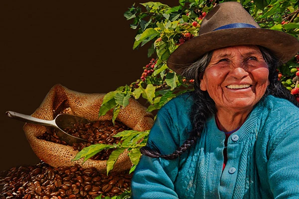 Image for Les Cafés Fraica lancent de nouvelles gammes bio et équitables !