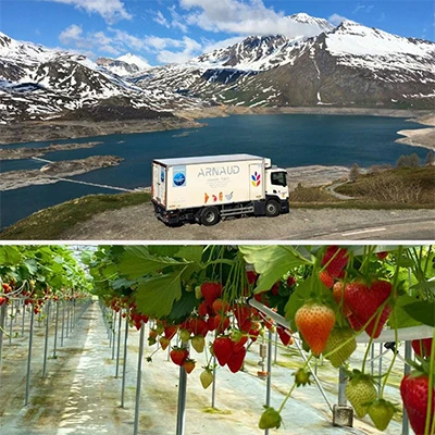 Image for Le groupe Arnaud développe sa gamme fruits et légumes locaux