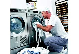 Image for Miele, voir les choses en « Géant »