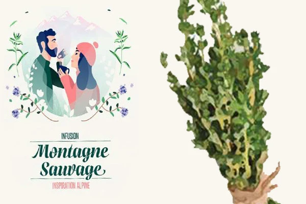 Image for La Maison Orset crée une nouvelle gamme d’infusions