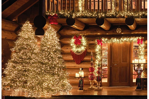 Image for Les majestueux sapin de Rêves d’Extérieurs théâtralisent Noël !