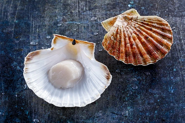 Image for Rougié célèbre 150 ans d’engagement au service des Chefs 
