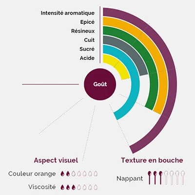 Image for Les vergers Boiron célèbrent les 5 ans de la Fruitologie® 
