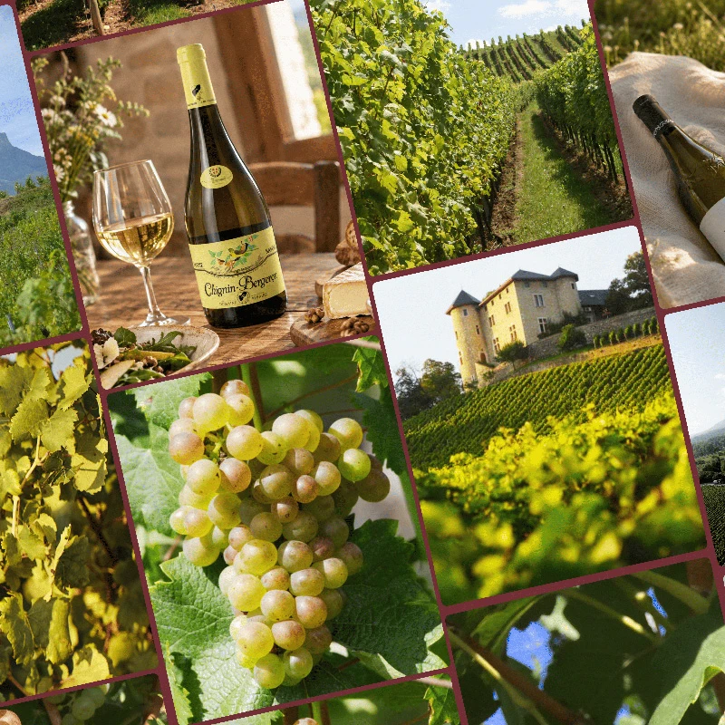 Image for Clos Réserve devient la nouvelle locomotive des Vins de Savoie     